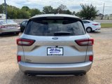 New 2024 Ford Escape ST-Line w/ Tech Pack #1 image 3