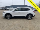 Used 2021 Ford Escape SE w/ Convenience Package image 4