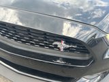 Used 2017 Ford Mustang GT Premium w/ Equipment Group 401A image 4