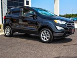 Used 2022 Ford EcoSport SE w/ SE Convenience Package image 3