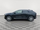 New 2025 Cadillac Optiq Luxury 1 image 5