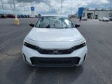 New 2025 Honda Civic Sport image 4