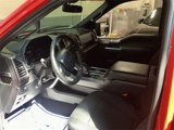 Used 2016 Ford F150 XLT w/ Equipment Group 302A Luxury image 4