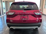 Used 2020 Ford Escape SEL image 6