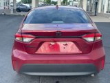 Used 2023 Toyota Corolla LE image 4