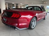 Used 2019 Ford Mustang GT Premium w/ GT Performance Package image 2
