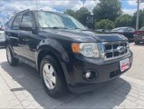 Used 2011 Ford Escape XLT w/ 203A Rapid Spec Order Code image 6