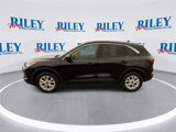 Certified 2024 Ford Escape Active image 5