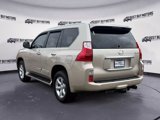 Used 2011 Lexus GX 460 Premium image 5
