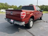 Used 2014 Ford F150 XLT w/ Equipment Group 301A Mid image 3