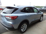 Used 2022 Ford Escape SE w/ Convenience Package image 6