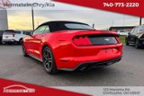 Used 2019 Ford Mustang Premium image 6