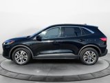 Certified 2022 Ford Escape SEL image 2