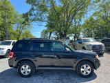 Used 2011 Ford Escape XLT w/ 202A Rapid Spec Order Code image 2