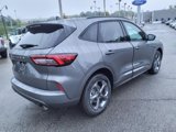 Used 2024 Ford Escape ST-Line w/ Tech Pack #1 image 5
