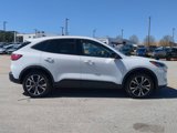Certified 2022 Ford Escape SE w/ SE Sport Appearance Package image 3