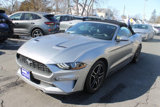 Used 2021 Ford Mustang Premium image 3