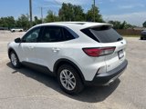 Used 2020 Ford Escape SE image 2