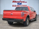 Used 2012 Ford F150 FX4 w/ FX Luxury Pkg image 3