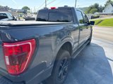 Used 2021 Ford F150 XLT w/ Equipment Group 302A High image 3