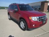 Used 2011 Ford Escape XLT w/ Convenience Group image 2