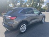 Certified 2021 Ford Escape SE image 5