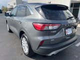 Used 2022 Ford Escape SE w/ Cold Weather Package image 3