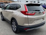 Used 2019 Honda CR-V EX-L image 5