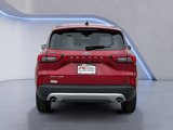 New 2025 Ford Escape Active w/ Tech Pack #1 image 5