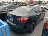 Used 2019 Toyota Corolla LE w/ Body Protection Package image 5