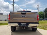 Used 2019 Ford F150 XLT w/ Equipment Group 302A Luxury image 6