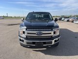 Used 2019 Ford F150 XLT w/ Equipment Group 302A Luxury image 2