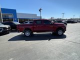 New 2025 Chevrolet Colorado W/T image 3