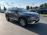 Used 2022 Hyundai Santa Fe SEL w/ Cargo Package image 3