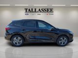 Used 2024 Ford Escape ST-Line image 4