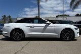 Used 2023 Ford Mustang Convertible w/ Equipment Group 101A image 2