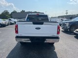 Used 2021 Ford F150 XLT w/ Equipment Group 301A Mid image 5