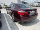 Used 2013 Honda Accord Sport image 5