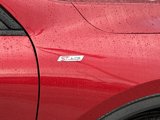 New 2025 Ford Escape ST-Line w/ Tech Pack #1 image 5