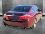 Used 2014 Honda Accord Sport image 3