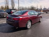 Used 2015 Honda Accord Touring image 4