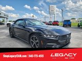Used 2024 Ford Mustang Premium image 2