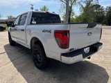 New 2025 Ford F150 STX image 4