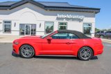 Used 2015 Ford Mustang Premium image 4