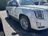 Used 2015 Cadillac Escalade Platinum image 5