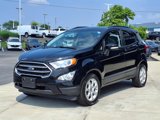 Used 2019 Ford EcoSport SE image 2