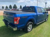 Used 2015 Ford F150 XLT w/ Equipment Group 301A Mid image 6