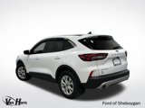 Used 2024 Ford Escape Active image 3