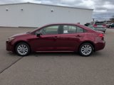 New 2025 Toyota Corolla LE w/ LE Premium Package image 2
