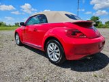 Used 2015 Volkswagen Beetle TDI image 5